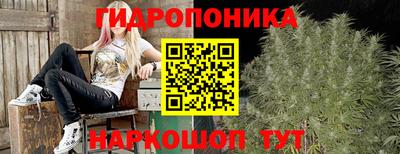 спиды Шелехов